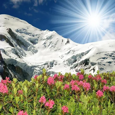 Sainte-foy-l'argentiere Sleeps 3 * 샤모니
